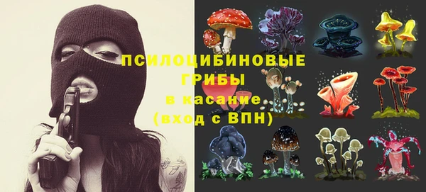 дурь Белокуриха