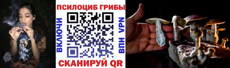 Купить где  Медвежьегорск  Псилоцибиновые грибы Psilocybine cubensis 