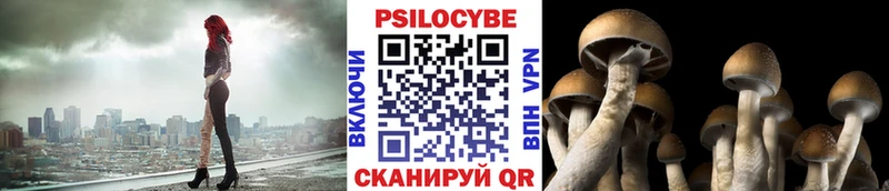 Псилоцибиновые грибы мицелий Медвежьегорск